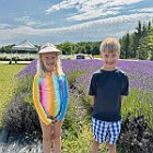 Charlie and Oliver Lavinder Gardens 2025